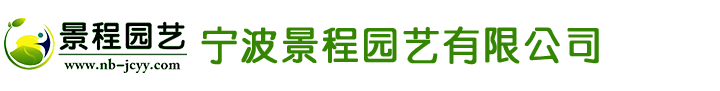 鄭州市金馬游樂(lè)設(shè)備廠(chǎng)